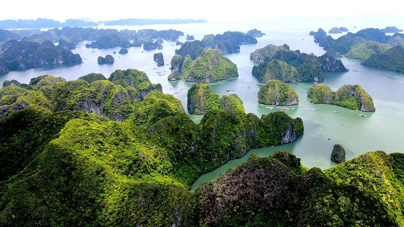 Vietnam DMC | Inbound Tour Operator Vietnam Since 2002 | Asia Pacific Travel