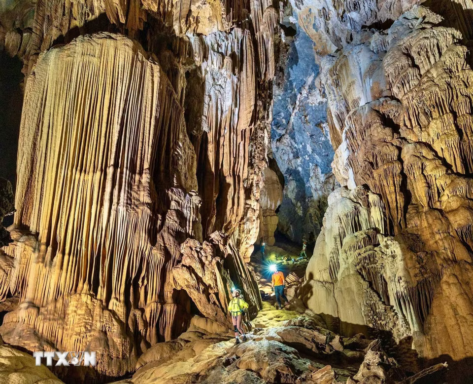 phong nha 2