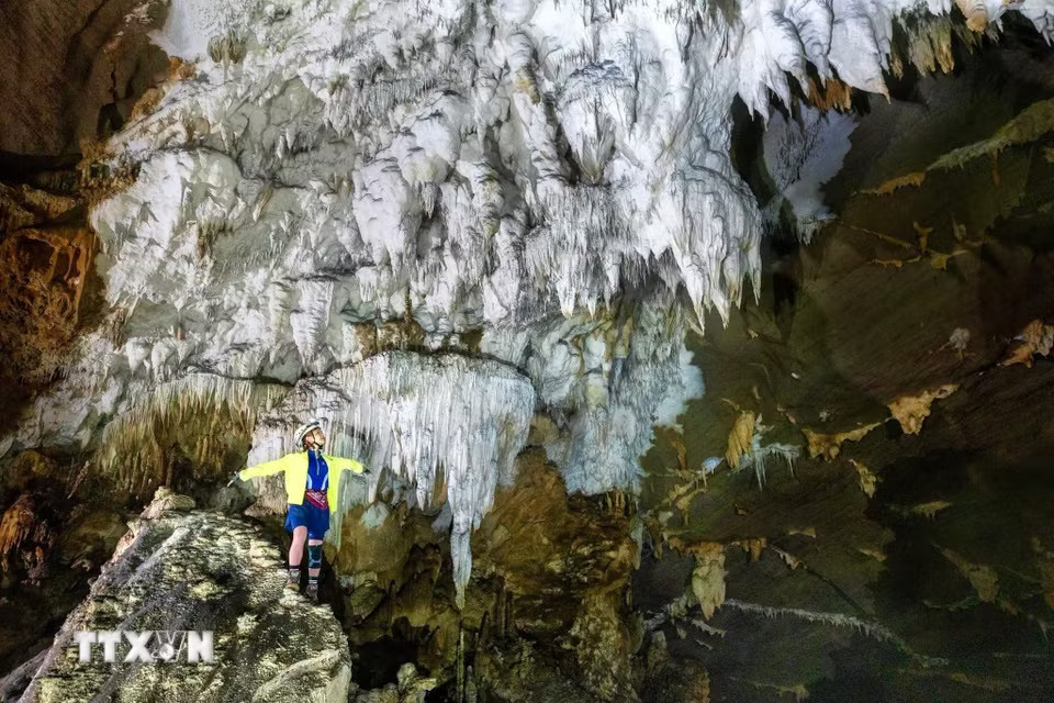 phong nha 3